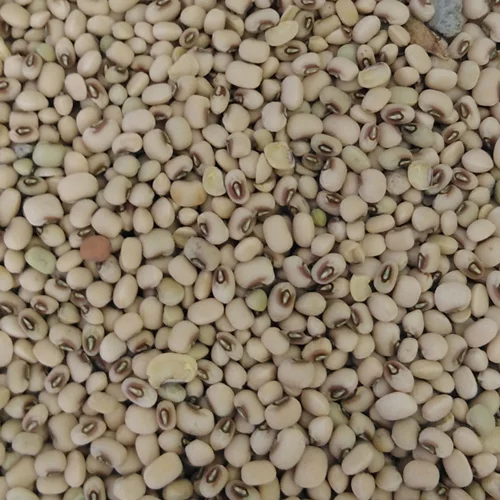 لوبیا پلو ریز 900 گرمی