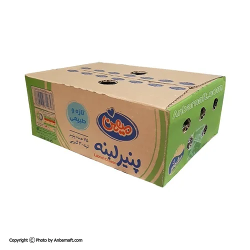 پنیر 30 گرمی