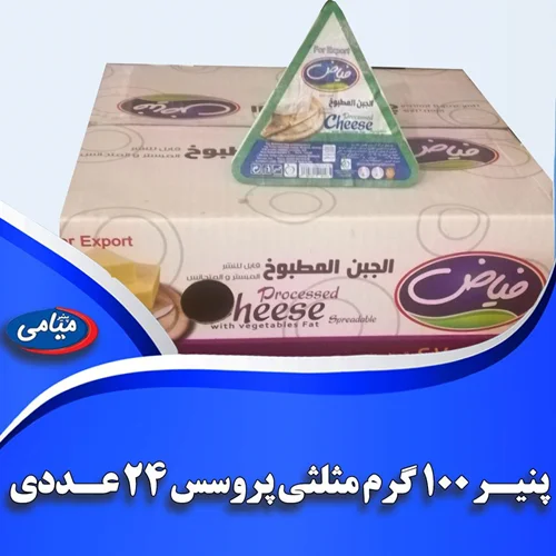 پنیر 100 گرمی