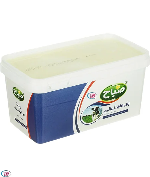 پنیر 100 گرمی